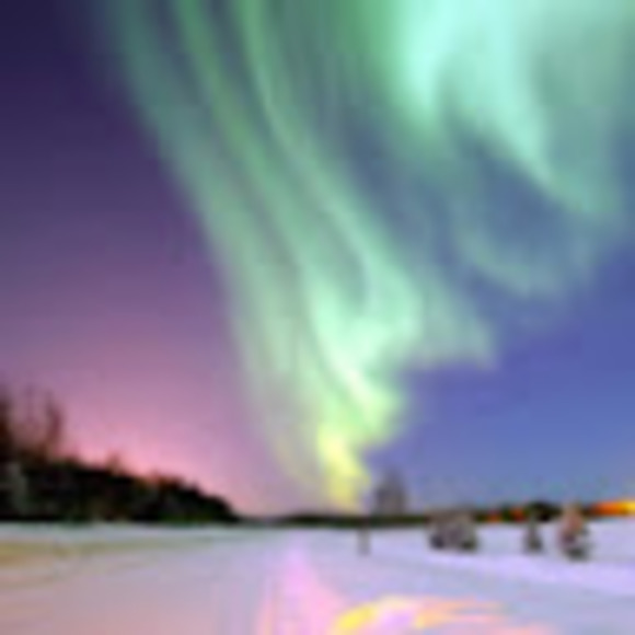 Meet your Posher, Hannah - Picture 1 of 1